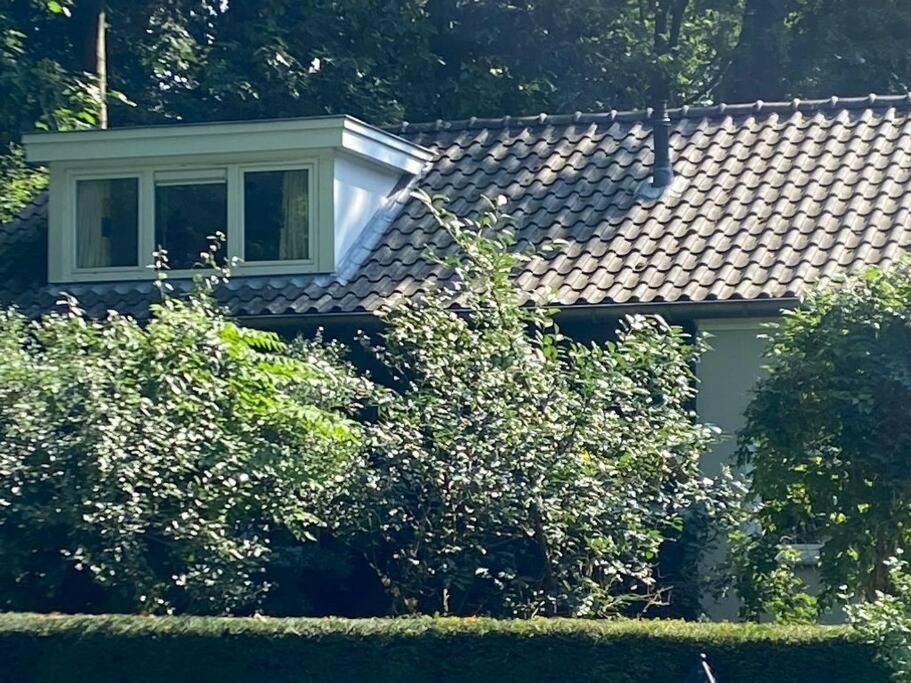 Duinhoek: Luxe Studio, Prachtig En Rustig Gelegen Zeist Eksteriør bilde
