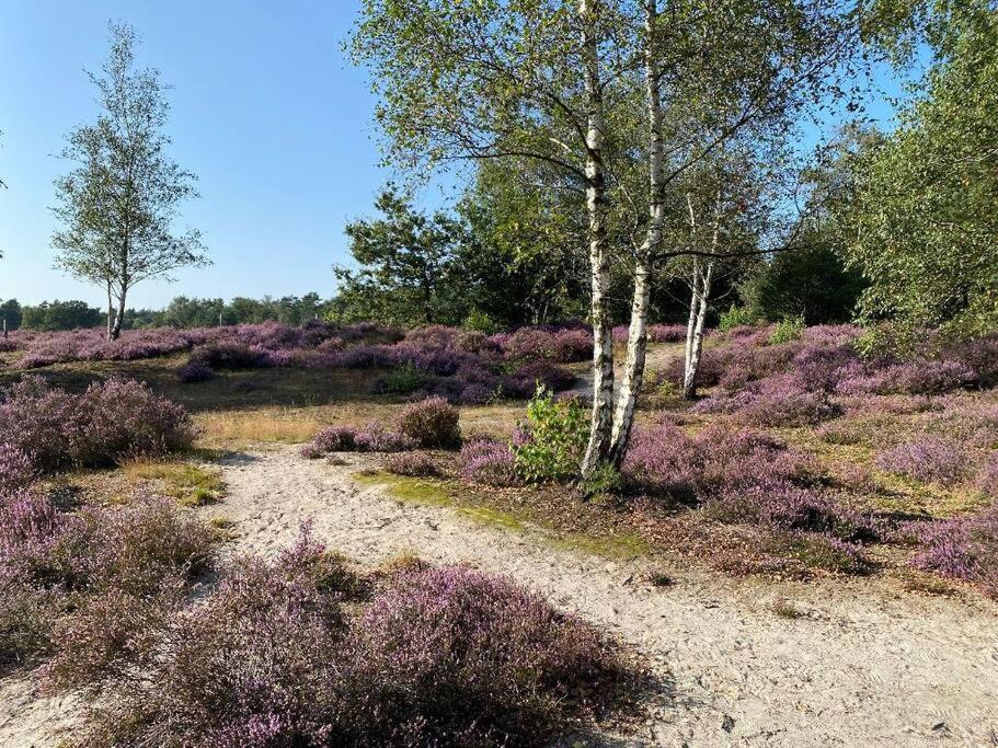 Duinhoek: Luxe Studio, Prachtig En Rustig Gelegen Zeist Eksteriør bilde